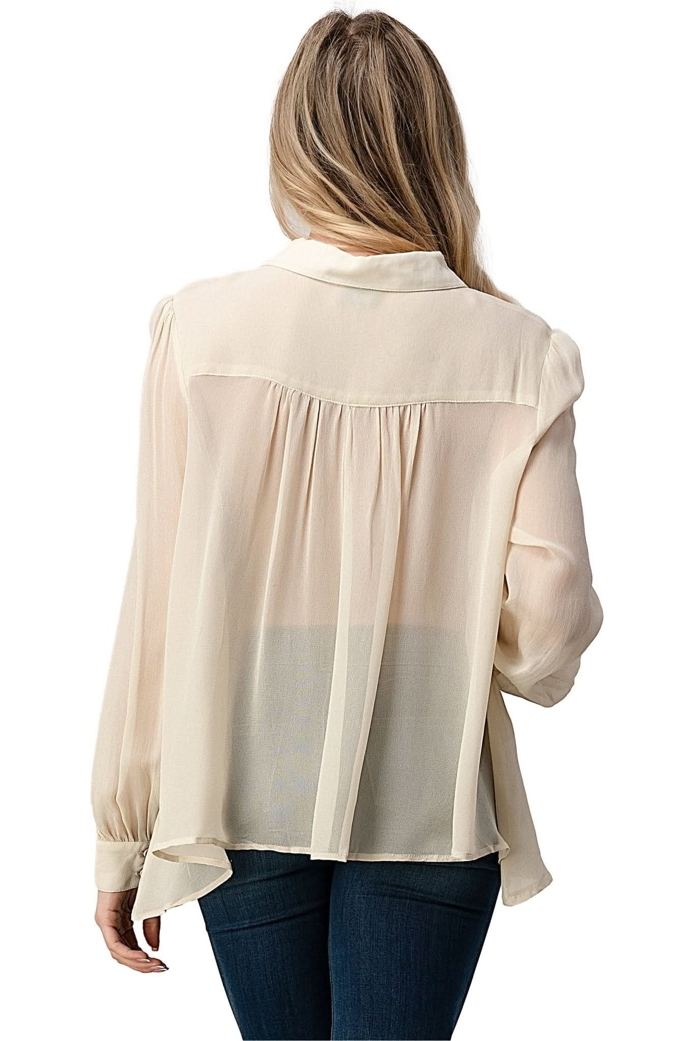 Embroidered Sheer Button - Up Blouse β Casual Elegance - Wear and Wander
