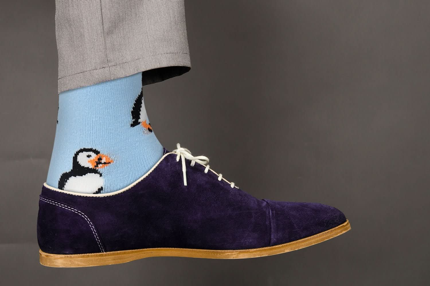 Sick Socks – Puffin – Exotic Animals Casual Dress Socks - Wear and Wander