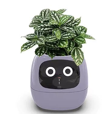 AI - Powered Planting Buddy - Wear n Wander
