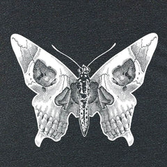 Butterfly skull - Wear and Wander