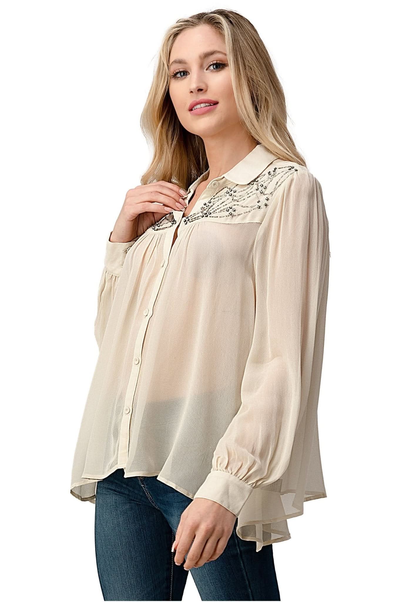 Embroidered Sheer Button - Up Blouse – Casual Elegance - Wear and Wander