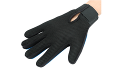 Pet Grooming Glove - Wear and Wander