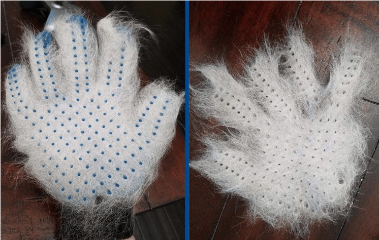 Pet Grooming Glove - Wear and Wander