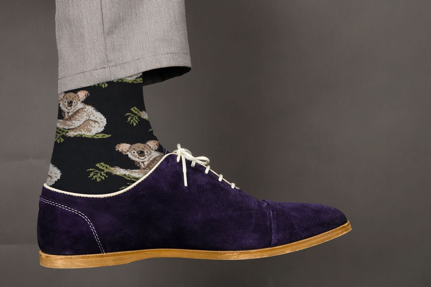 Sick Socks – Koala – Exotic Animals Casual Dress Socks - Wear and Wander